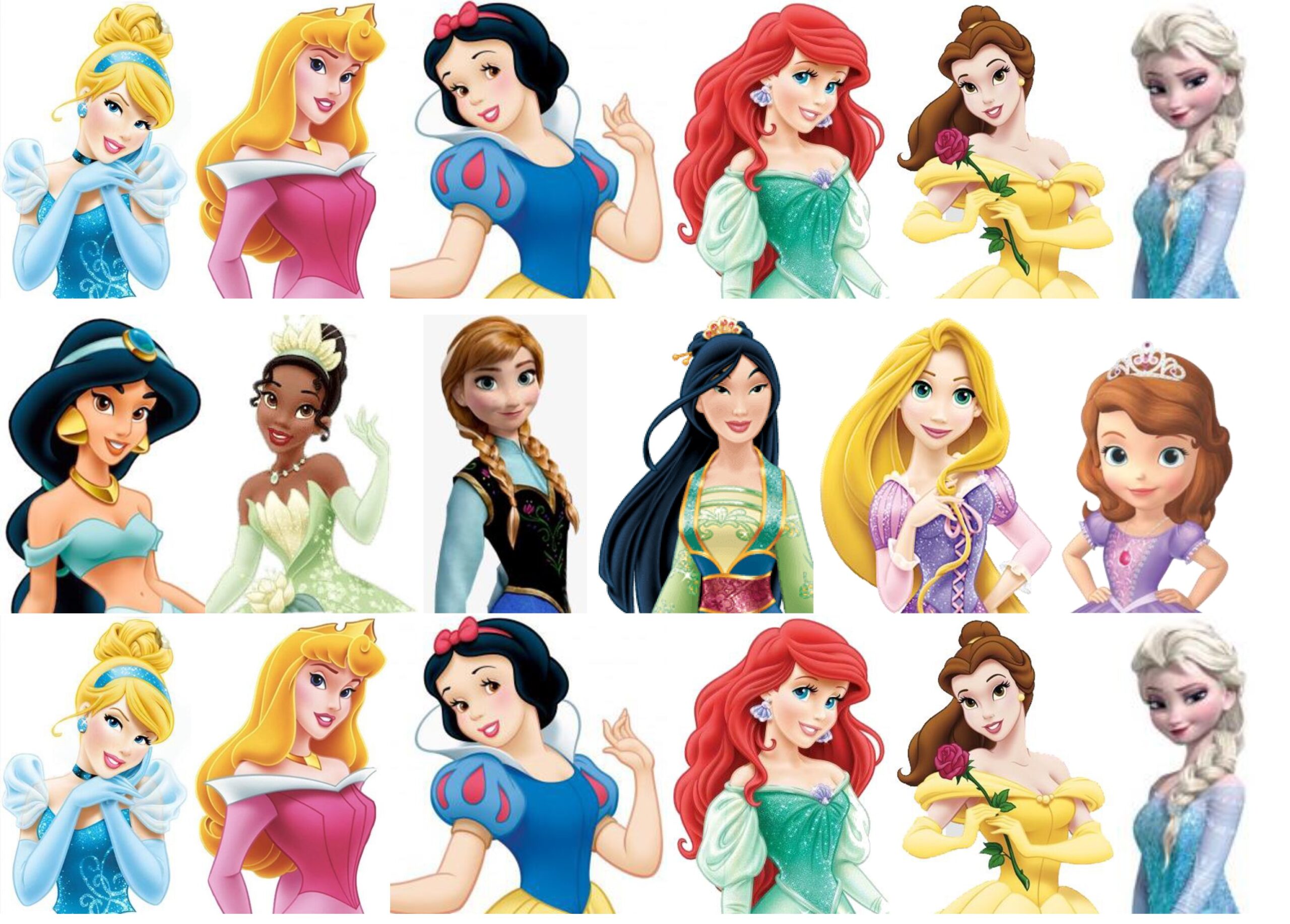 bustes princesse