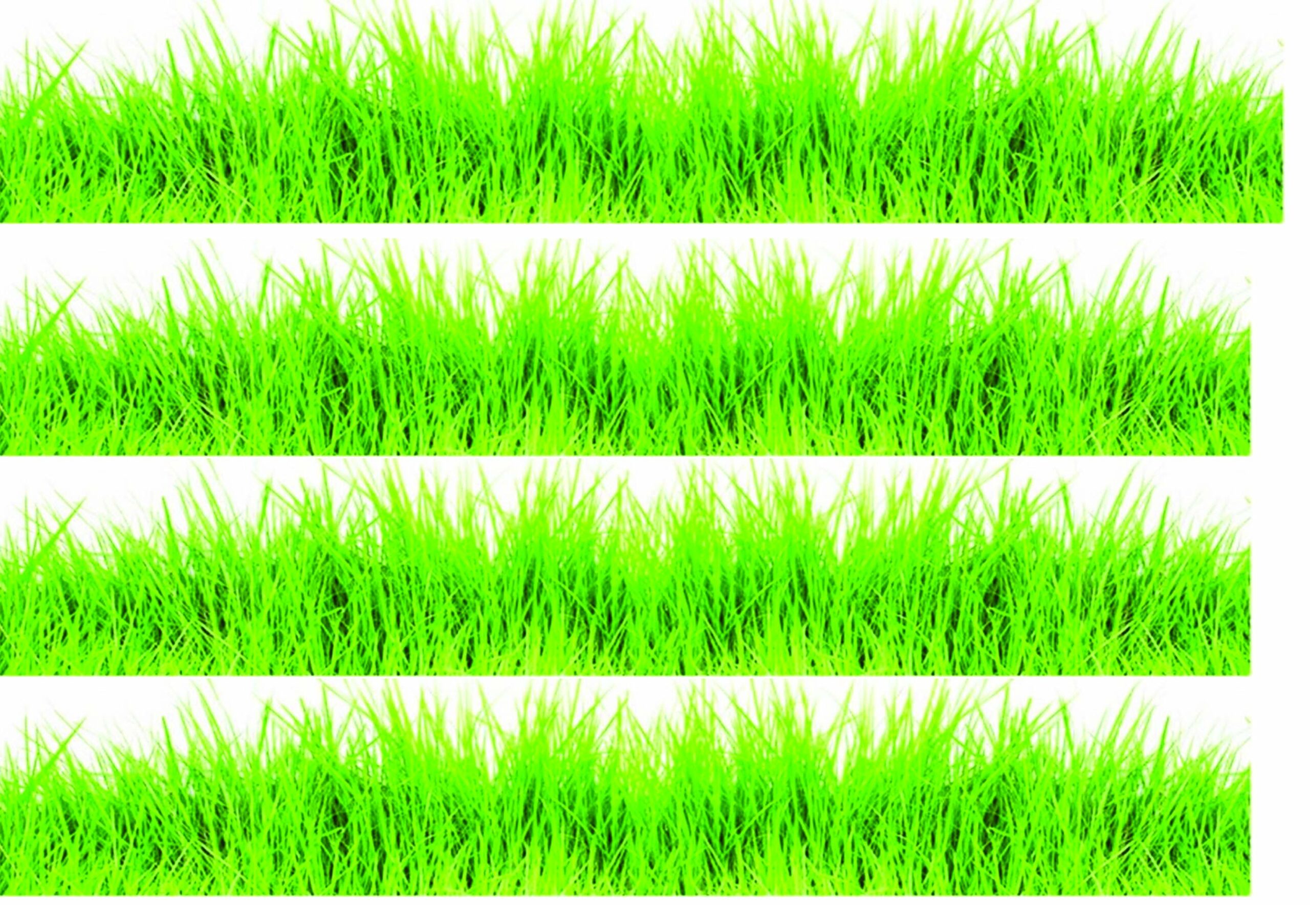 contour herbe