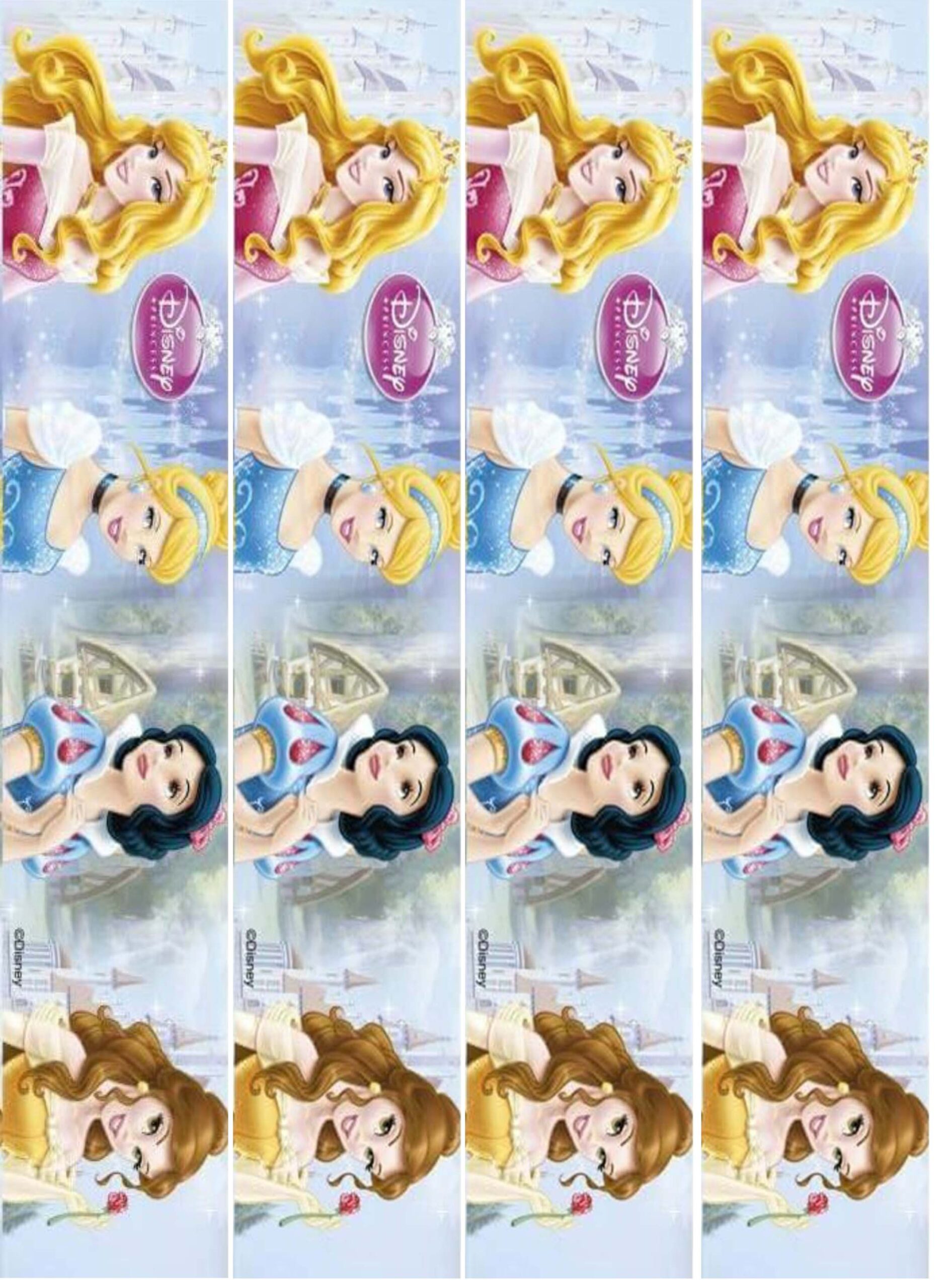 contour princesse - Image 2